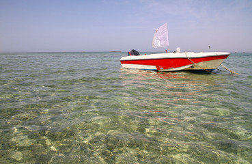 Motor boat on Red Sea