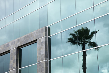 Dramatic Reflective Corporate Building