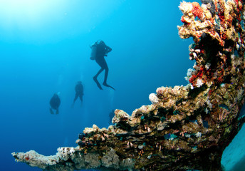 scuba divers and coral reef