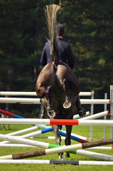 Show jumping, Horse during flight