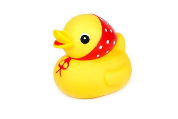 yellow duck isolation on white