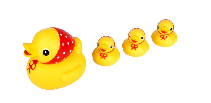 four yellow ducks isolation