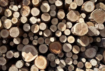 Möbelaufkleber rondins de bois © studiophotopro