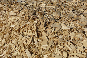 plaquettes de bois