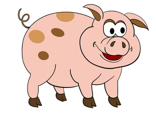 cartoon pig 2