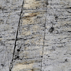 old rotten wooden blanks on floor