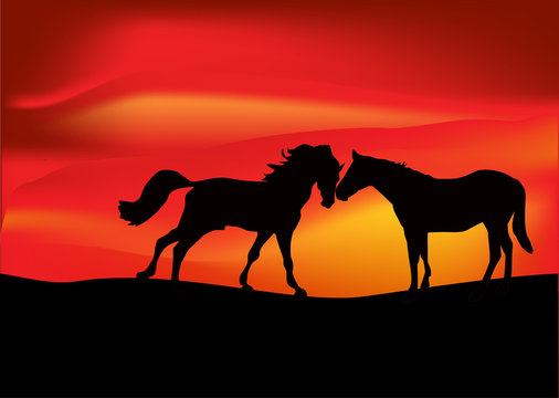 two horses at red sunset illustration