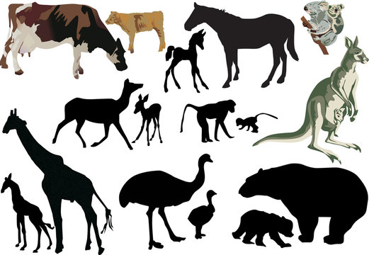 set of animal babies and its parents