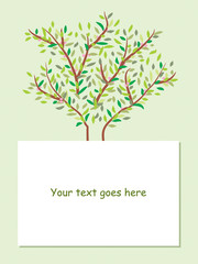 tree brochure background