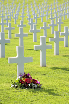 Pretty flowers by grave of unmarked cross headstone