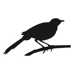 Shadow vector bird illustration