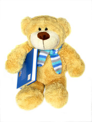 teddy bear with book