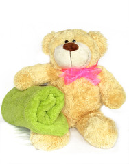 teddy bear with pink bow-knot