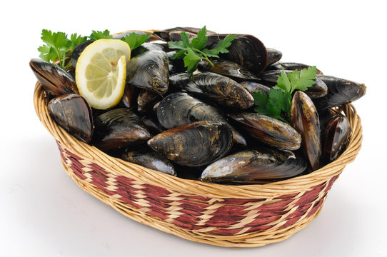 Cozze