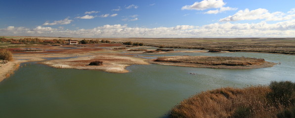 Reserva Natural de Las Lagunas de Villafáfila, Zamora.