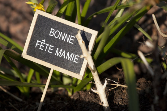 pencarte