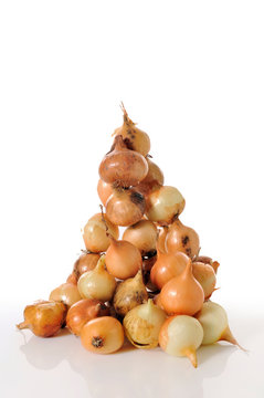 Pile of spring onions on white background