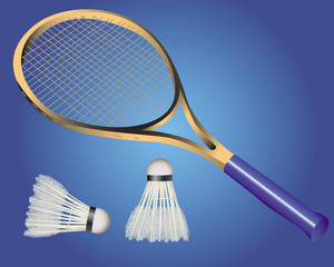 racquet and two shuttle badminton
