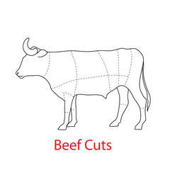 beef-cuts