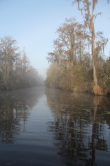Fototapeta na wymiar Mist on Suwannee River - Okefenokee Swamp, Georgia