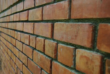 Wall  brick 1