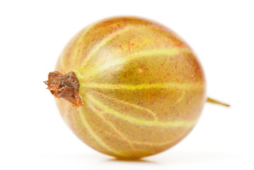 Grossularia, eatberry, gooseberry