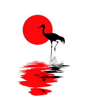 silhouette of the crane on solar background