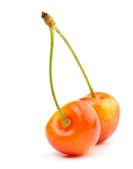 Sweet cherry