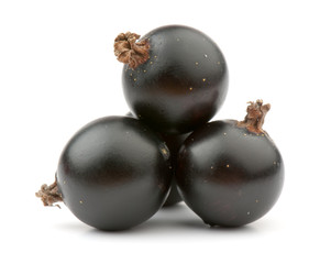 blackcurrant