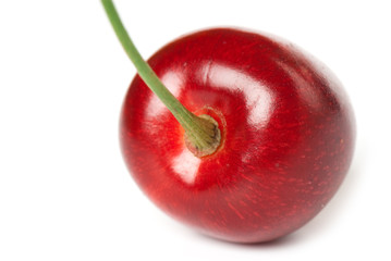 Sweet cherry