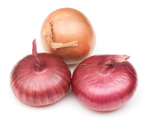 onion