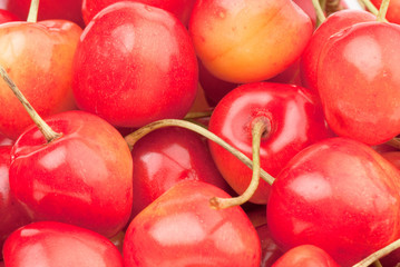 Sweet cherry