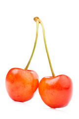 Sweet cherry