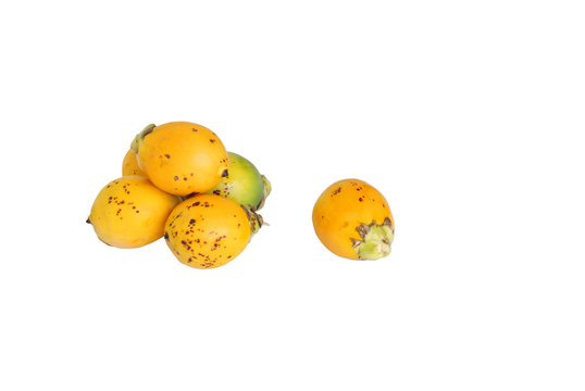 Ripe areca nuts isolated on white