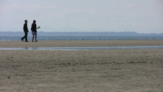Couple Walking Down The Beach