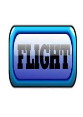 flight icon