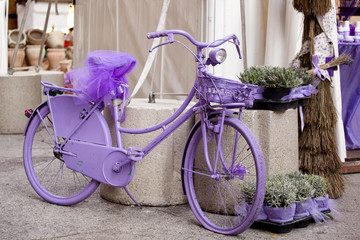 Bicicletta viola