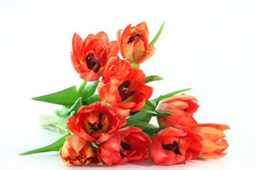 Tulpenstrauß