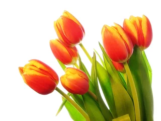 Crédence de cuisine en verre imprimé Tulipe Bouquet de tulipes