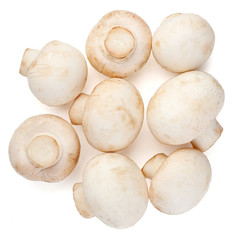 Champignons on white background