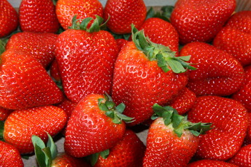 erdbeeren