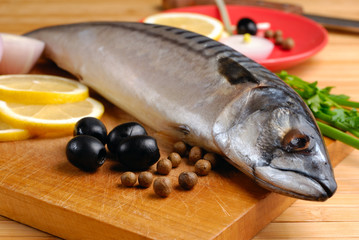 Fresh mackerel