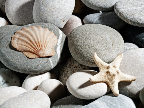 heap of pebbles backgrounds with starfish and shell