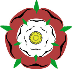 Vector English Rose