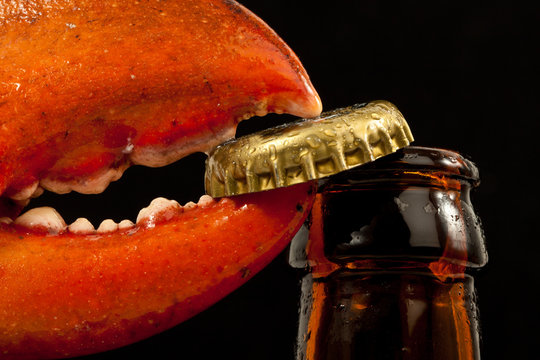 Hummer &ouml;ffnet Bierflasche