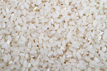 Rice background