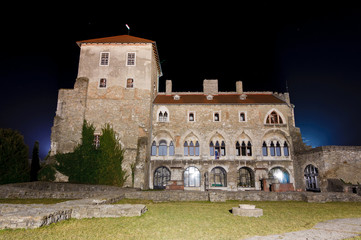 Fototapeta na wymiar Back view of the castle of Tata at night