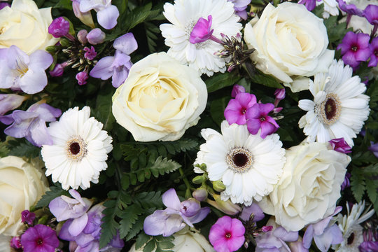 Fototapeta purple and white flower arrangement
