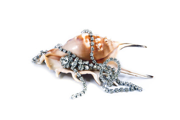 A beautiful image of a pink shell and bijouterie like a lwomen c