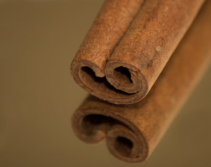 Cinnamon Sticks